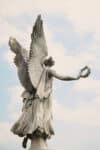 Irish Angel