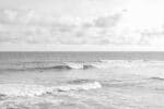 Quiet Tide