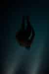 Midnight Plunge
